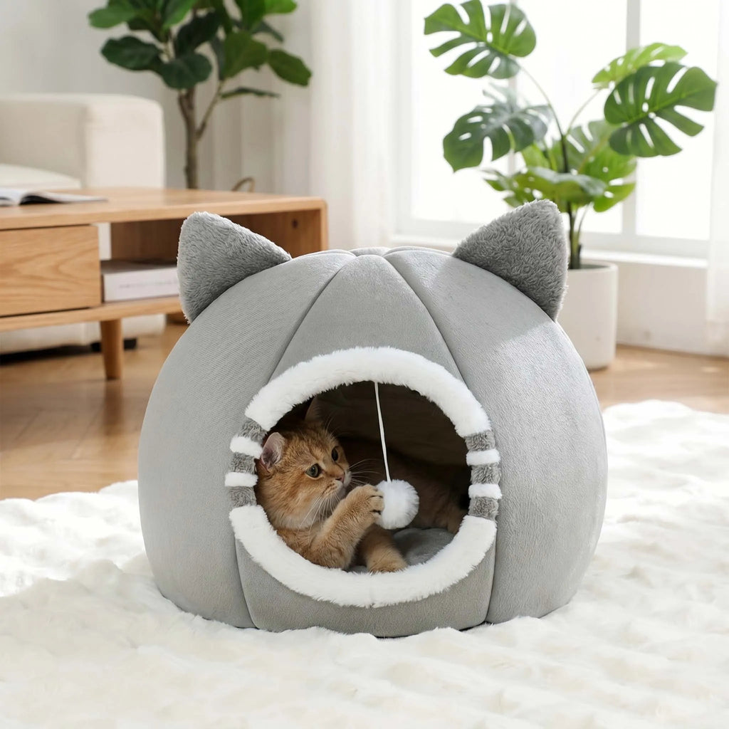 CozyNest