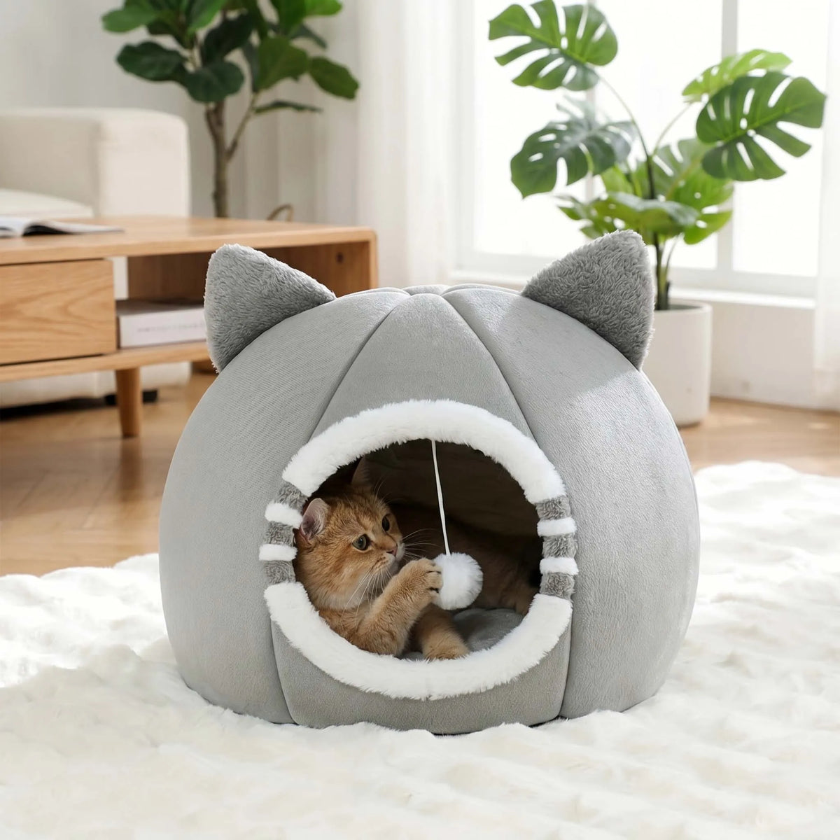 CozyNest