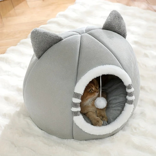 CozyNest