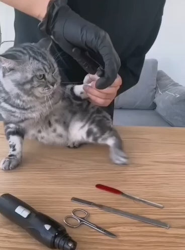 PawTrim 2-in-1